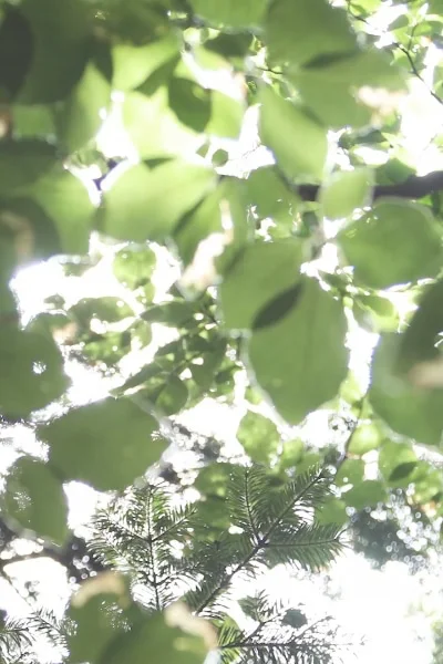 Etisk og bæredygtig